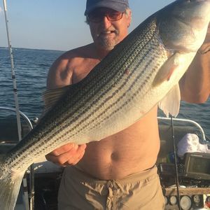 Meet your Posher, Tim